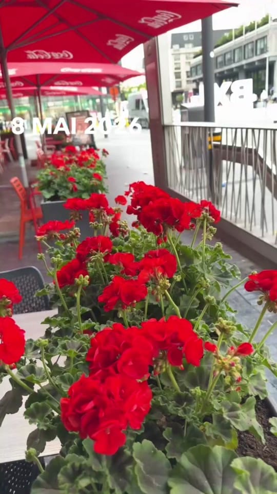 Post 1 by 🧿🎀VenitaSweetpeas🎀🧿 on TikTok (video)