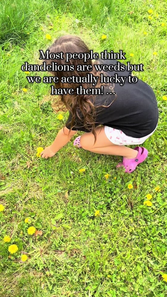 Post 9 by BRITTANYLEE on TikTok (video)