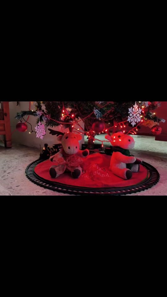 Post 8 by SaulaMandujanevsky on TikTok (video)