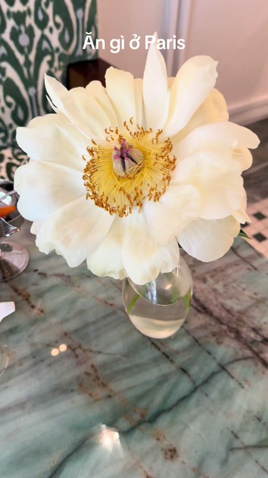 Post 9 by Anna 🇫🇷🇻🇳 on TikTok (video)