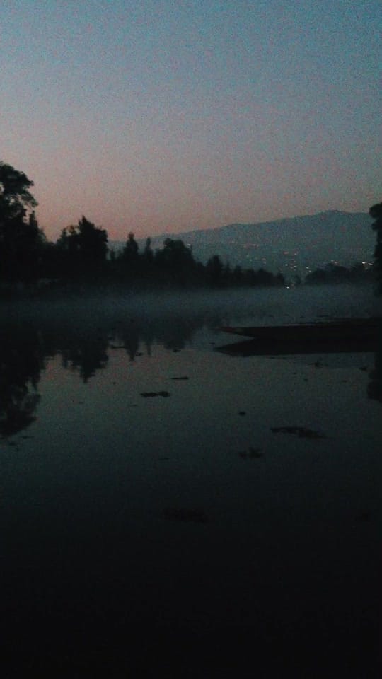 Post 7 by Cinema_Noctambulante on TikTok (video)
