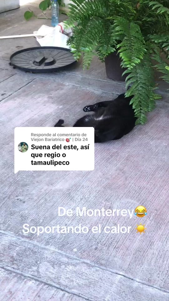 Post 8 by Edd Coronado on TikTok (video)