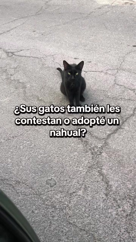 Post 9 by Edd Coronado on TikTok (video)