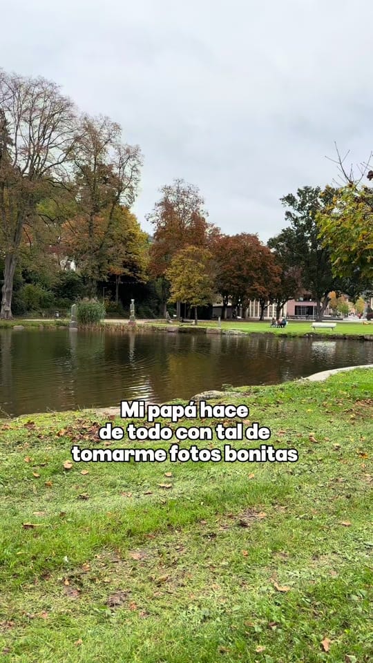 Post 7 by Schebeu on TikTok (video)