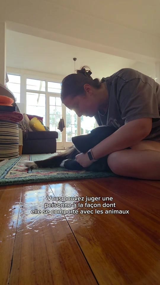 Post 1 by Sandraxhb 🇨🇵 on TikTok (video)