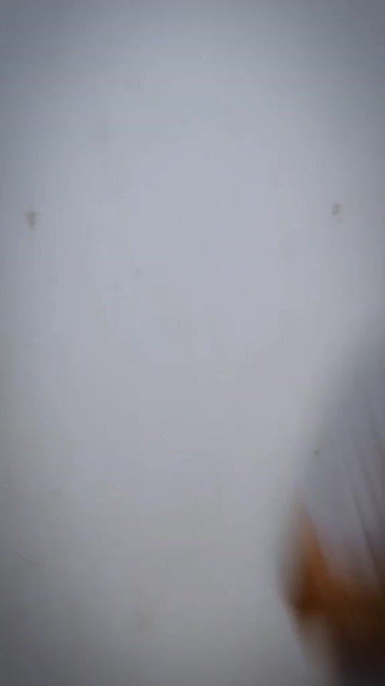 Post 10 by Lalo_el_Paria on TikTok (video)