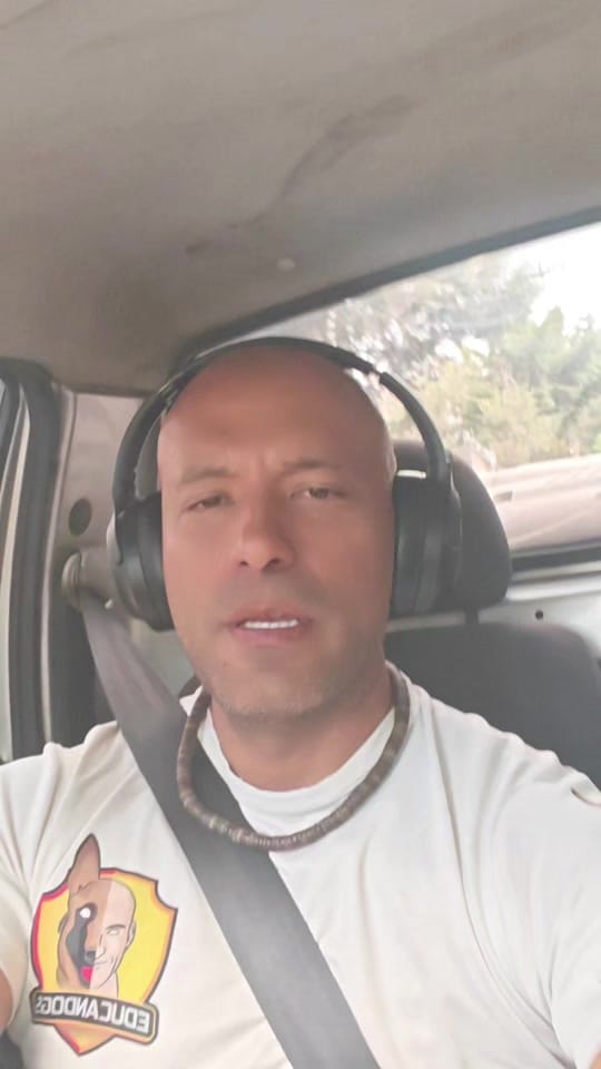 Post 8 by Igor Testamarck on TikTok (video)