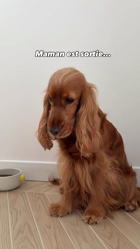 Post 2 by Anaëlle Chretien on TikTok (video)
