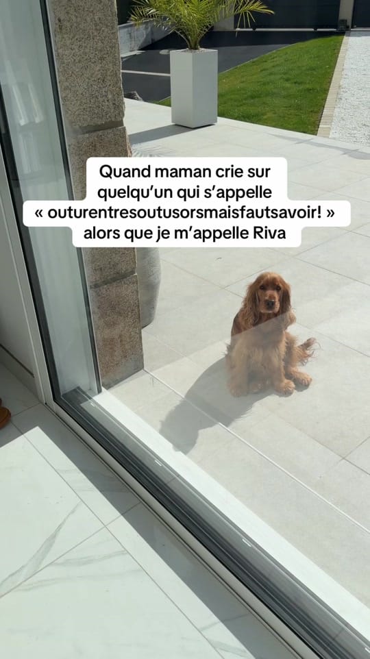 Post 10 by Anaëlle Chretien on TikTok (video)