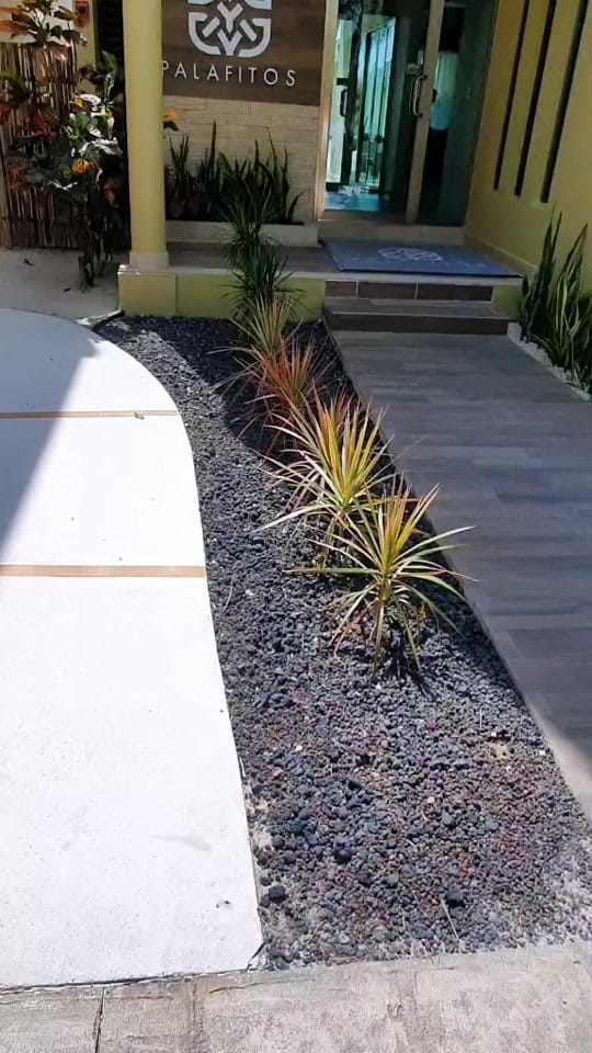 Post 10 by ahoranostoco | Vacun Vacations on TikTok (video)