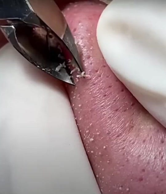 Post 1 by Tibz&Lisa on TikTok (video)