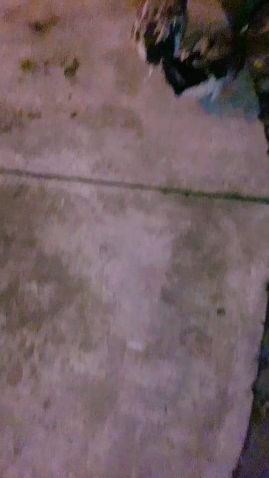 Post 8 by Hyrum Novacek on TikTok (video)