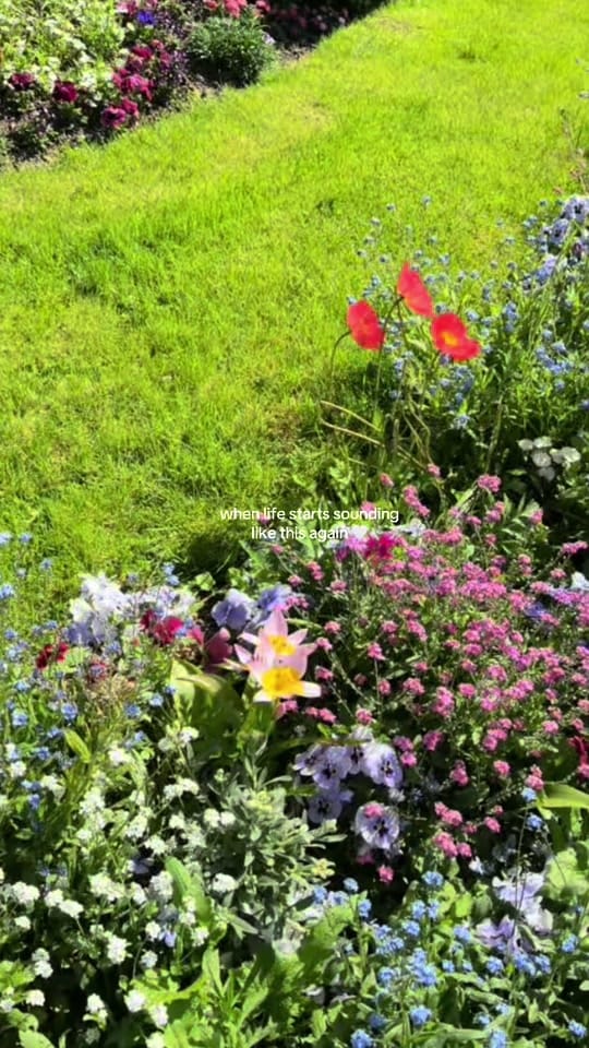 Post 7 by AnnaG on TikTok (video)