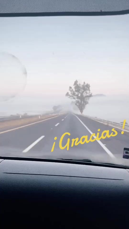 Post 8 by Antidoping on TikTok (video)