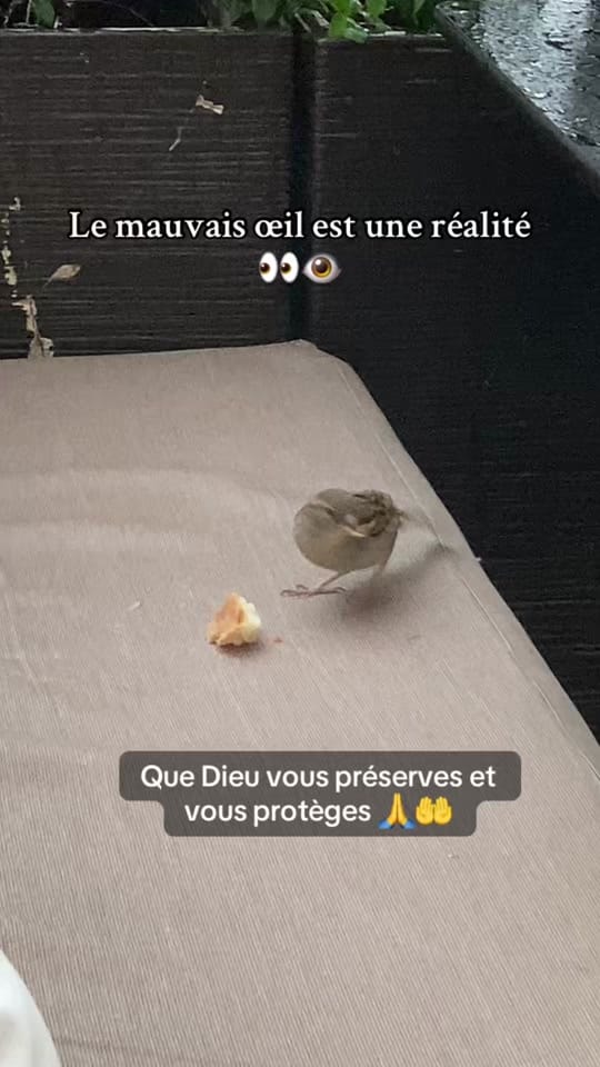 Post 6 by RAOUF le OUF 🇨🇵🇹🇳 on TikTok (video)