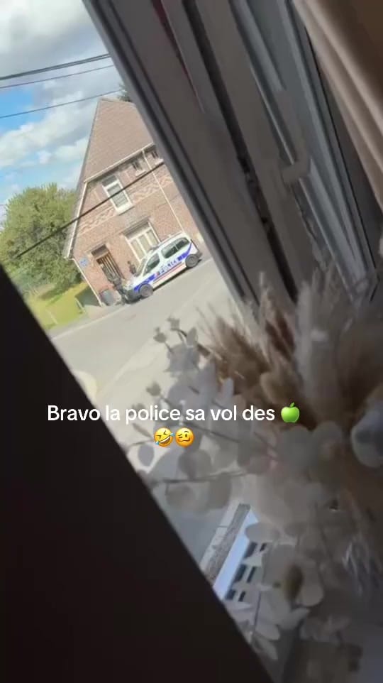Post 5 by Mimo ben 🇫🇷🇩🇿 on TikTok (video)
