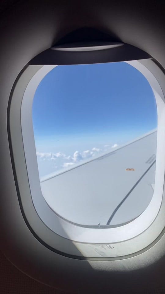 Post 8 by Agathe ✨ on TikTok (video)