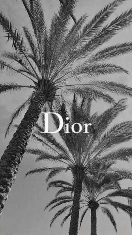 Post 7 by pierreftz on TikTok (video)