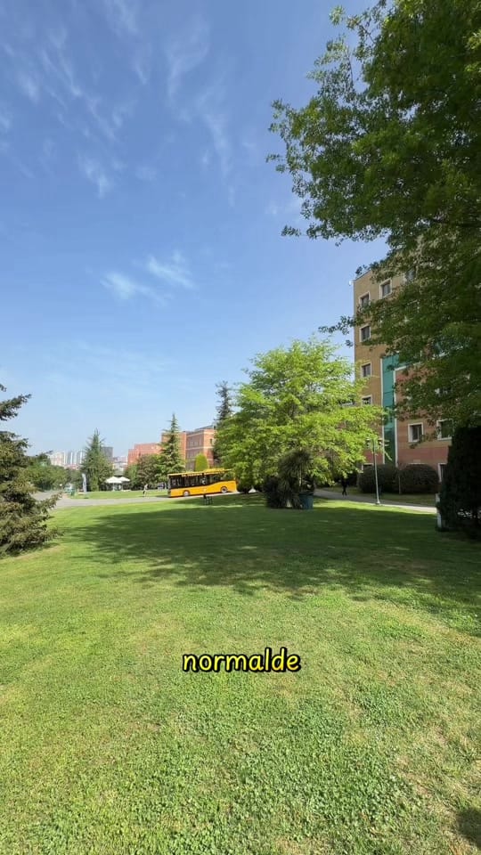 Post 8 by cerenaz🦦 on TikTok (video)