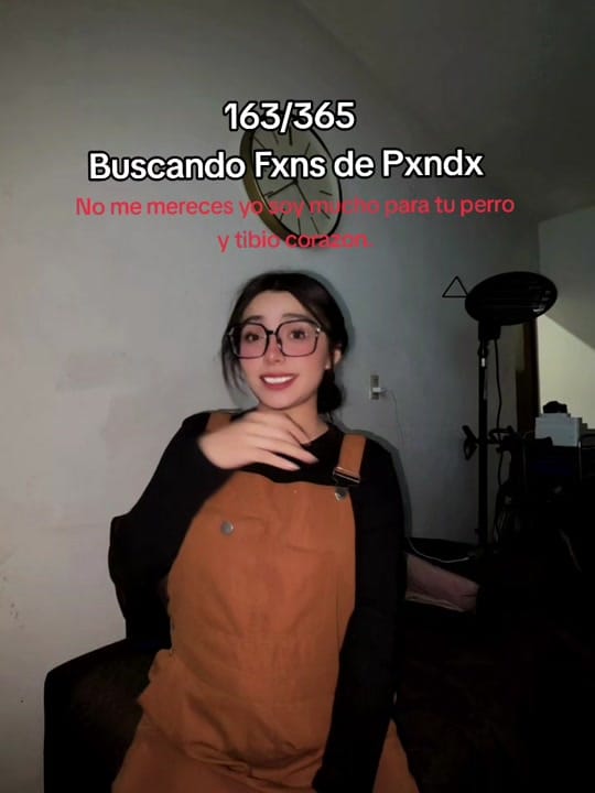 Post 2 by Ferni Mellow🌷 on TikTok (video)