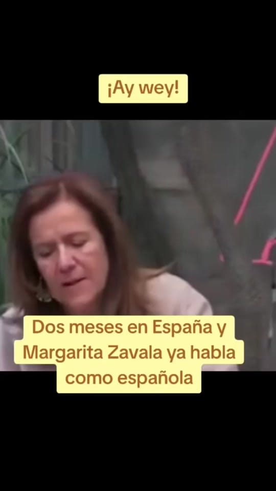 Post 5 by Luis Torres on TikTok (video)