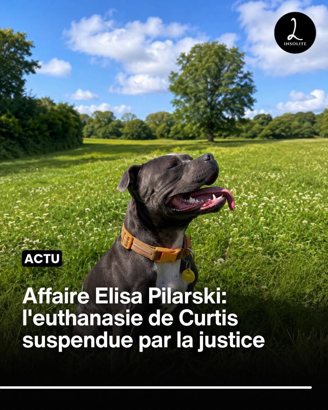 Post 2 by lamarseillaiseemboucaneuse on TikTok (video)