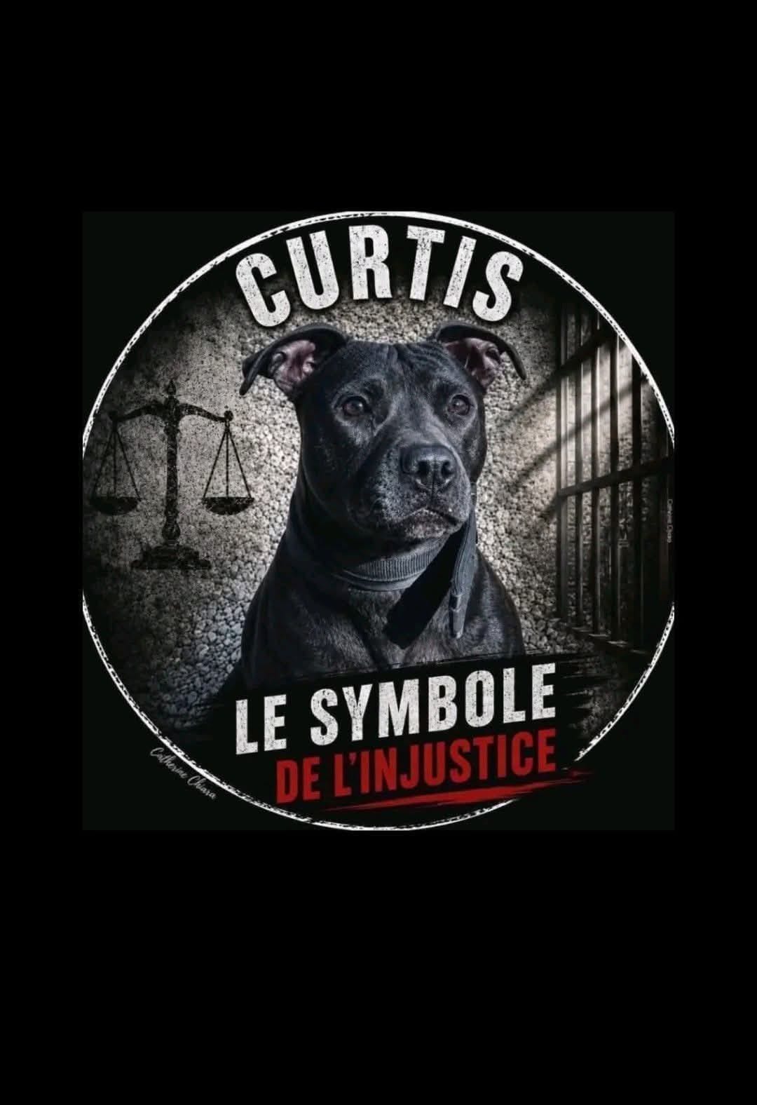 Post 4 by lamarseillaiseemboucaneuse on TikTok (video)