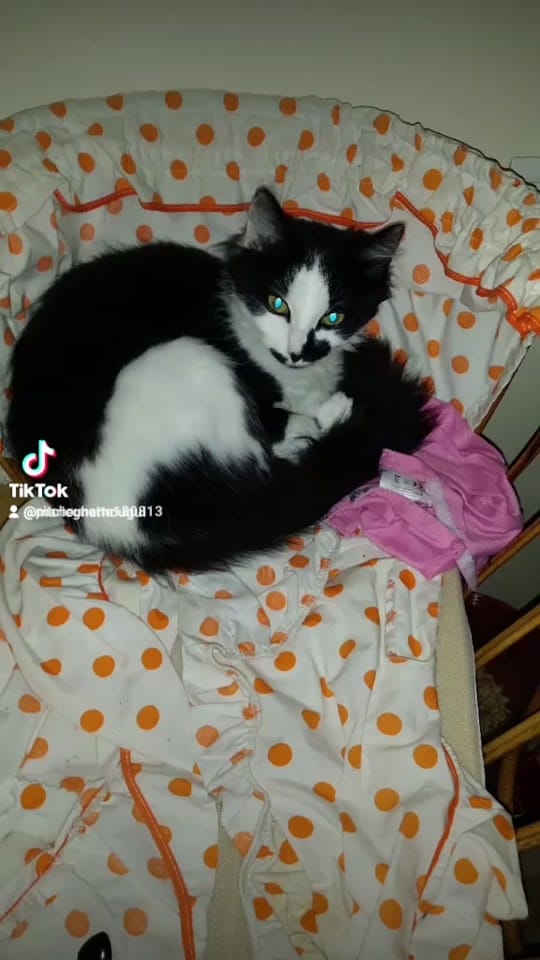 Post 10 by lamarseillaiseemboucaneuse on TikTok (video)