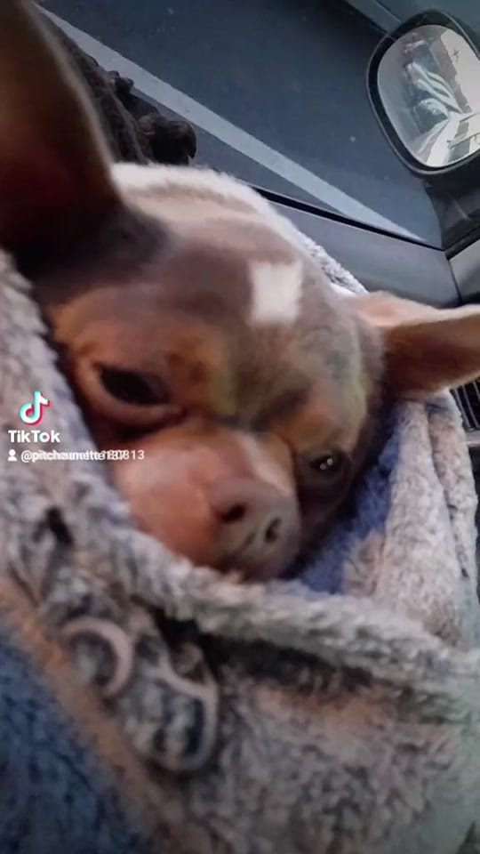 Post 9 by lamarseillaiseemboucaneuse on TikTok (video)