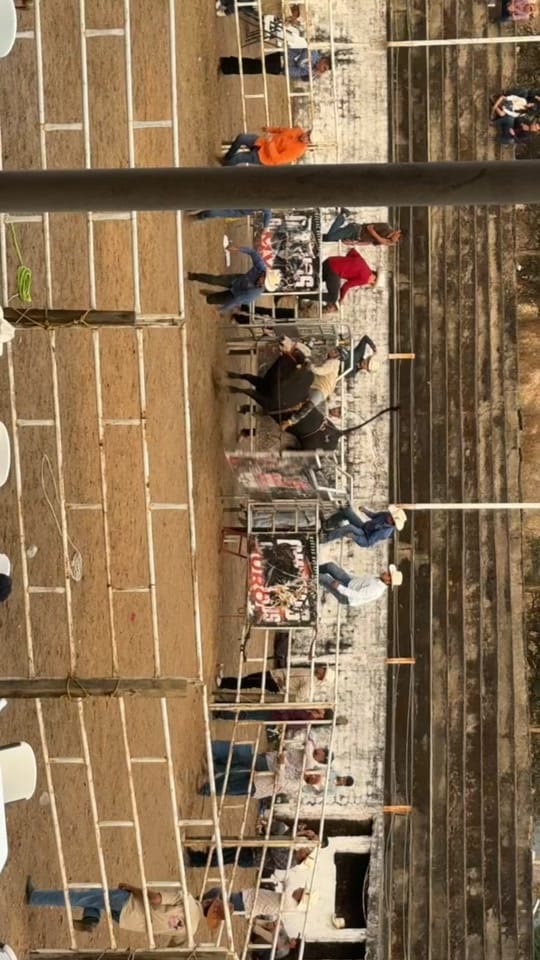 Post 7 by Jose Jimenez on TikTok (video)