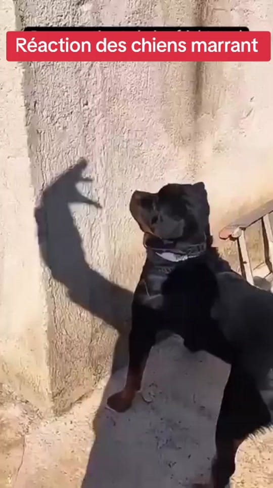 Post 2 by retourmoii0000000 on TikTok (video)