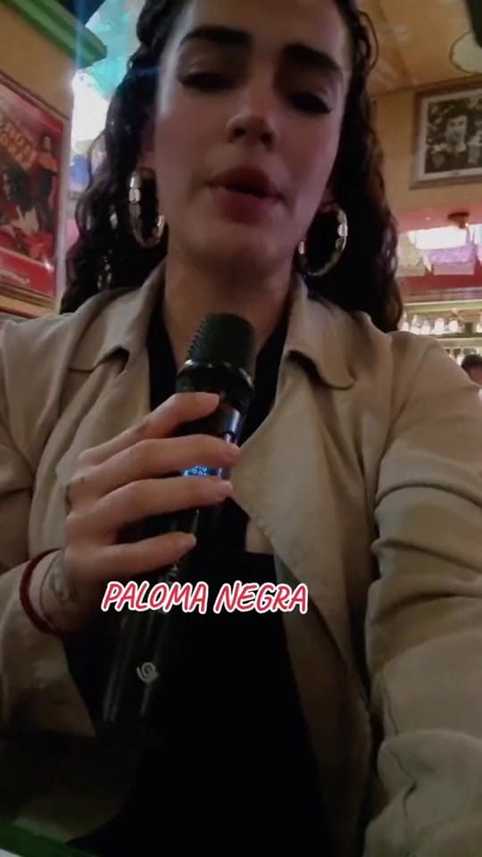Post 9 by 🐎Xime León🐎 on TikTok (video)