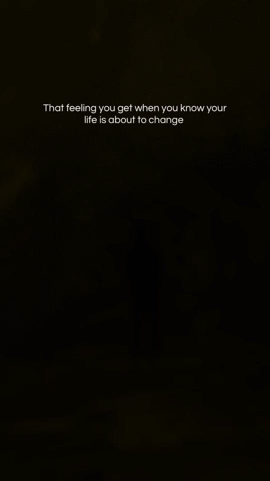Post 8 by Francesca Taruc on TikTok (video)