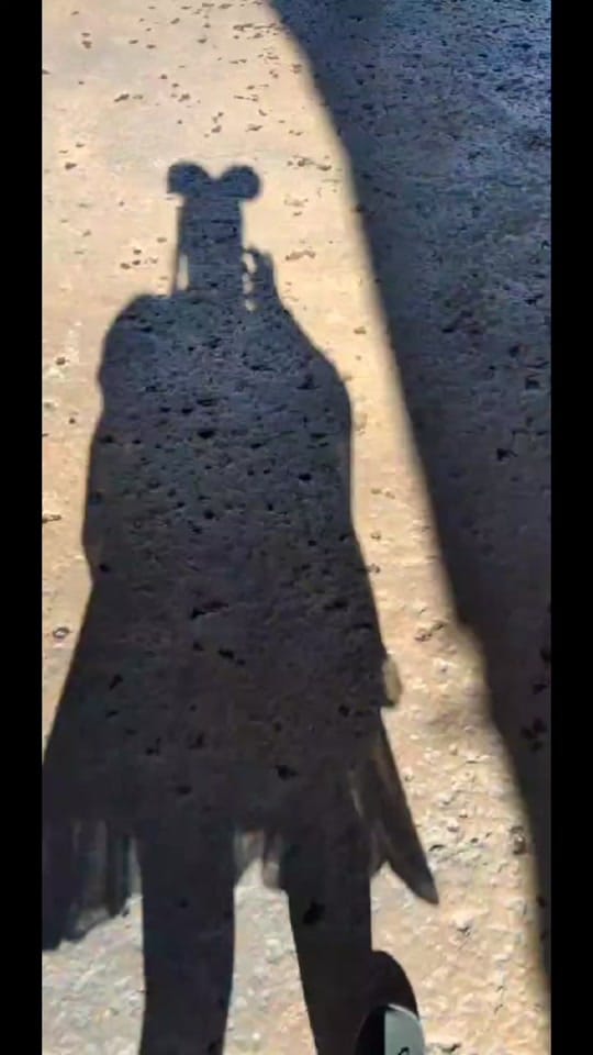 Post 4 by amanda_jacinto on TikTok (video)