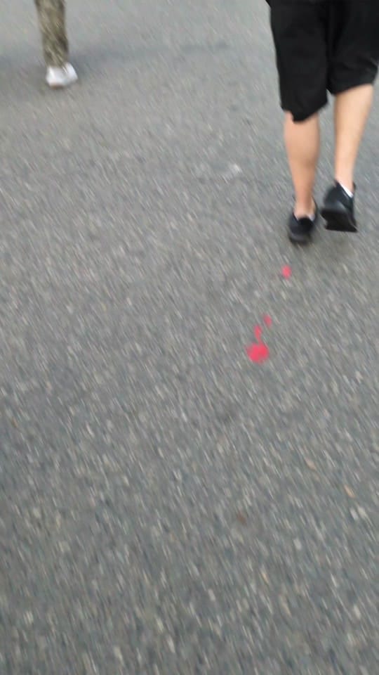 Post 8 by amanda_jacinto on TikTok (video)
