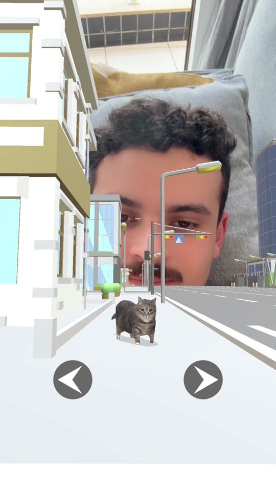 Post 4 by Max Petterson on TikTok (video)