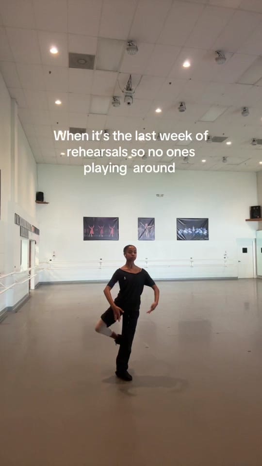 Post 1 by 🩰Mischa on TikTok (video)