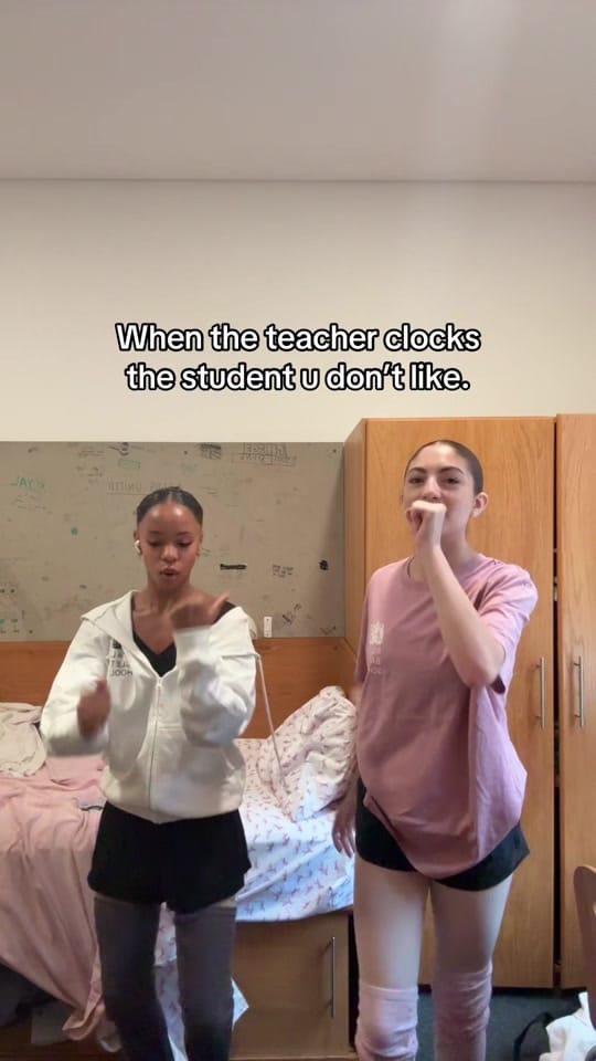 Post 9 by 🩰Mischa on TikTok (video)