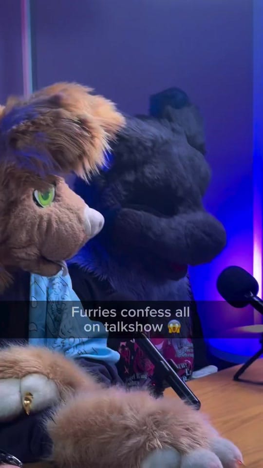 Post 6 by Singaplex: Internet Historian on TikTok (video)