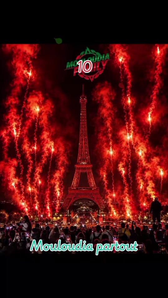 Post 3 by farouk boukhezzar on TikTok (video)