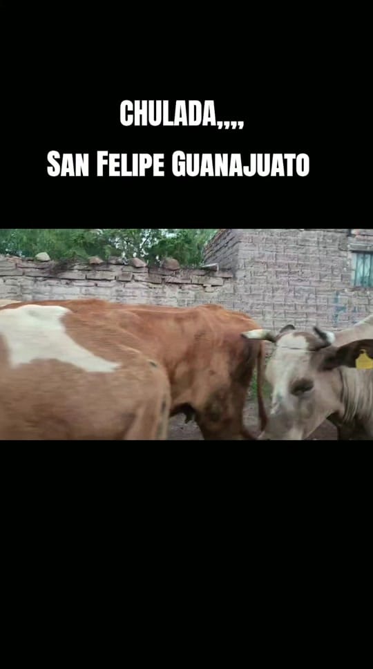 Post 1 by Rumbo alo Desconocido on TikTok (video)