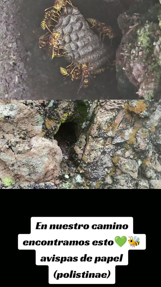 Post 7 by Rumbo alo Desconocido on TikTok (video)
