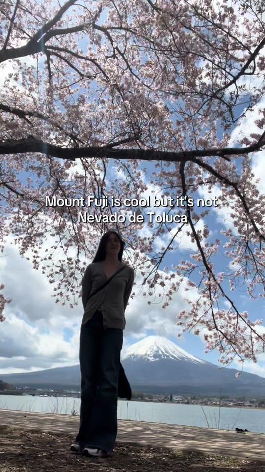 Post 8 by Tokoto on TikTok (video)