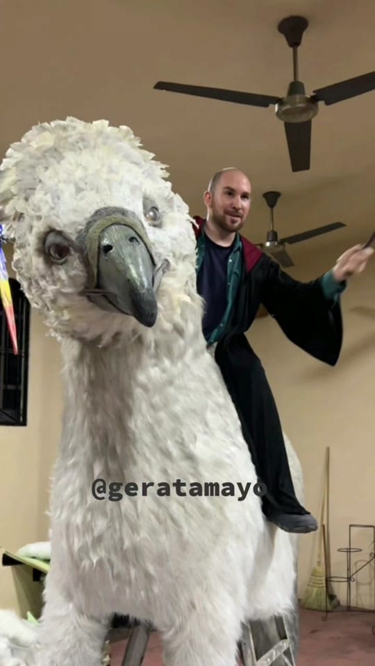 Post 10 by Gera Tamayo on TikTok (video)