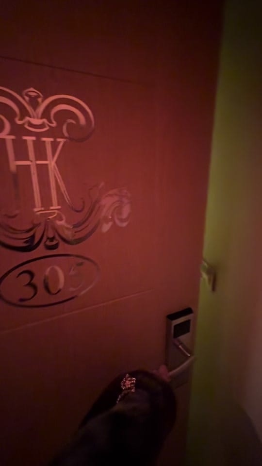 Post 4 by itsfrancescafiume on TikTok (video)