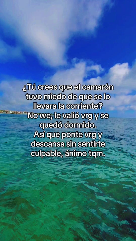 Post 8 by griss vite on TikTok (video)