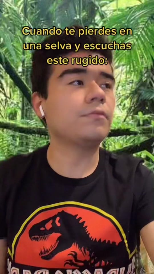 Post 10 by Aeroraptor on TikTok (video)