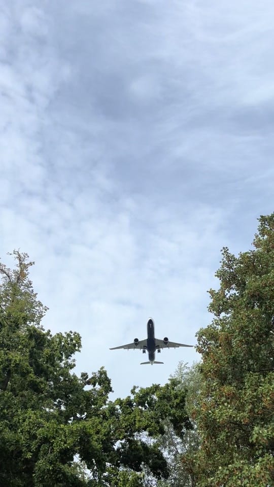 Post 5 by Aeroraptor on TikTok (video)