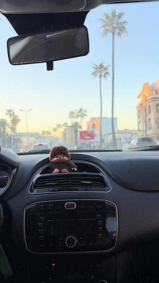 Post 1 by DAJLA on TikTok (video)