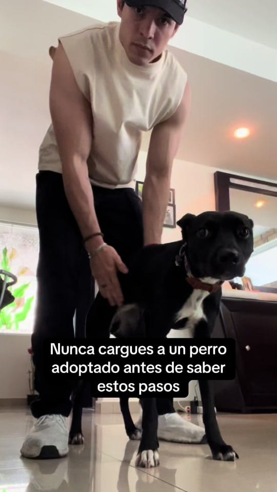 Post 7 by Carlos Pantoja on TikTok (video)